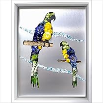 インコ 絵画 手描き 大型 額縁 オカメインコの似顔絵 【水彩画/額付き】 絵画 chokotto* 通販